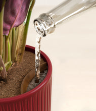 Load image into Gallery viewer, Striped Cherry Red stand:all
