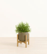 Load image into Gallery viewer, Olive stand:bamboo
