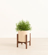 Load image into Gallery viewer, Cream stand:walnut
