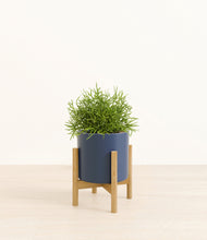Load image into Gallery viewer, Deep Navy stand:bamboo
