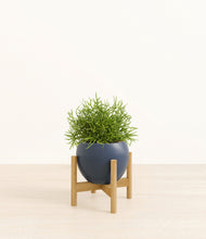 Load image into Gallery viewer, Deep Navy stand:bamboo
