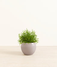 Load image into Gallery viewer, Winter Clouds*****Profile
