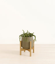 Load image into Gallery viewer, Olive stand:bamboo
