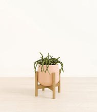 Load image into Gallery viewer, Gentle Pink stand:bamboo
