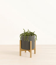 Load image into Gallery viewer, Dark Olive stand:bamboo
