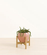 Load image into Gallery viewer, Calm Rose stand:bamboo
