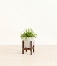Load image into Gallery viewer, Natural Bamboo stand:walnut
