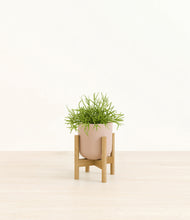 Load image into Gallery viewer, Sandy Pink stand:bamboo
