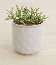 Load image into Gallery viewer, Hammered Ivory stand:all
