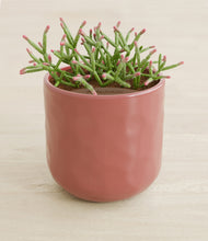 Load image into Gallery viewer, Hammered Rose Pink stand:all
