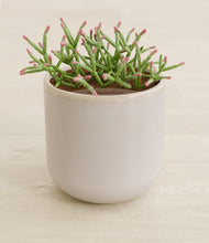 Load image into Gallery viewer, Snowdrift White stand:all
