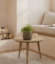 Load image into Gallery viewer, Olive
