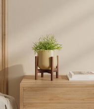 Load image into Gallery viewer, Key Lime Yellow stand:walnut
