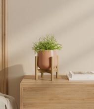 Load image into Gallery viewer, Calm Rose stand:bamboo
