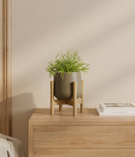 Load image into Gallery viewer, Olive stand:bamboo
