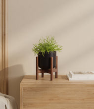 Load image into Gallery viewer, Stone Black stand:bamboo
