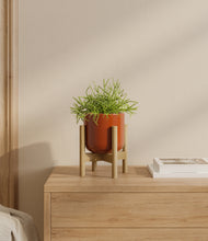 Load image into Gallery viewer, Glossy Red stand:bamboo
