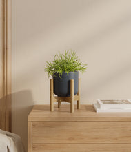 Load image into Gallery viewer, Iron Gray stand:bamboo
