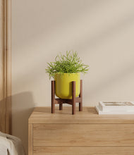 Load image into Gallery viewer, Key Lime Yellow stand:bamboo
