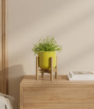 Load image into Gallery viewer, Key Lime Yellow stand:bamboo
