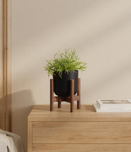 Load image into Gallery viewer, Stone Black stand:walnut
