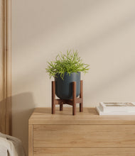 Load image into Gallery viewer, Iron Gray stand:walnut
