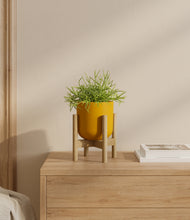 Load image into Gallery viewer, Sunset Orange stand:bamboo
