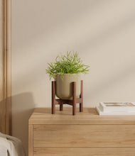 Load image into Gallery viewer, Sage Green stand:bamboo
