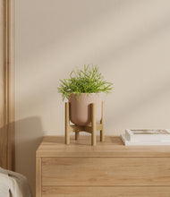 Load image into Gallery viewer, Sandy Pink stand:bamboo
