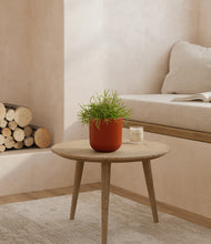 Load image into Gallery viewer, Earth Red
