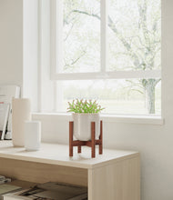 Load image into Gallery viewer, Snowdrift White stand:walnut

