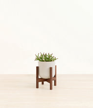 Load image into Gallery viewer, Snowdrift White stand:walnut
