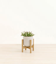 Load image into Gallery viewer, Snowdrift White stand:bamboo
