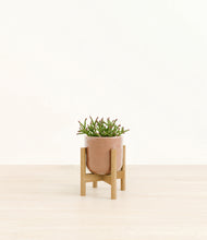 Load image into Gallery viewer, Hammered Peach Pink stand:bamboo
