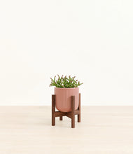 Load image into Gallery viewer, Striped Rose Pink stand:walnut
