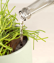 Load image into Gallery viewer, Turquoise stand:all
