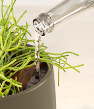 Load image into Gallery viewer, Olive stand:all
