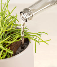 Load image into Gallery viewer, Eternal Gray stand:all
