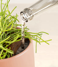 Load image into Gallery viewer, Calm Rose stand:all
