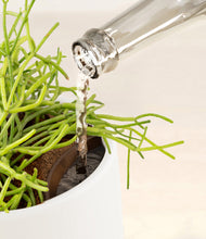 Load image into Gallery viewer, White stand:all
