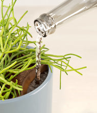 Load image into Gallery viewer, Misty Blue stand:all
