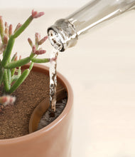 Load image into Gallery viewer, Hammered Peach Pink stand:all
