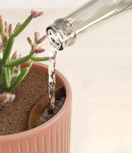 Load image into Gallery viewer, Striped Rose Pink stand:all
