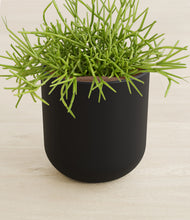 Load image into Gallery viewer, Stone Black stand:all
