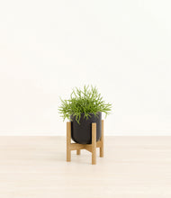 Load image into Gallery viewer, Stone Black stand:bamboo
