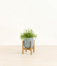 Load image into Gallery viewer, Misty Blue stand:bamboo
