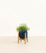 Load image into Gallery viewer, Twiliight Blue stand:bamboo
