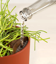 Load image into Gallery viewer, Earth Red stand:all
