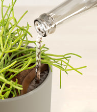 Load image into Gallery viewer, Sage Green stand:all
