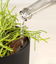 Load image into Gallery viewer, Stone Black stand:all
